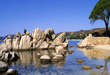 贝博-JackeyLove迎来十二赛季出色发挥，加拿大队观众热烈欢呼！赛场气氛高涨(jackeylove仁川回头高清照片)